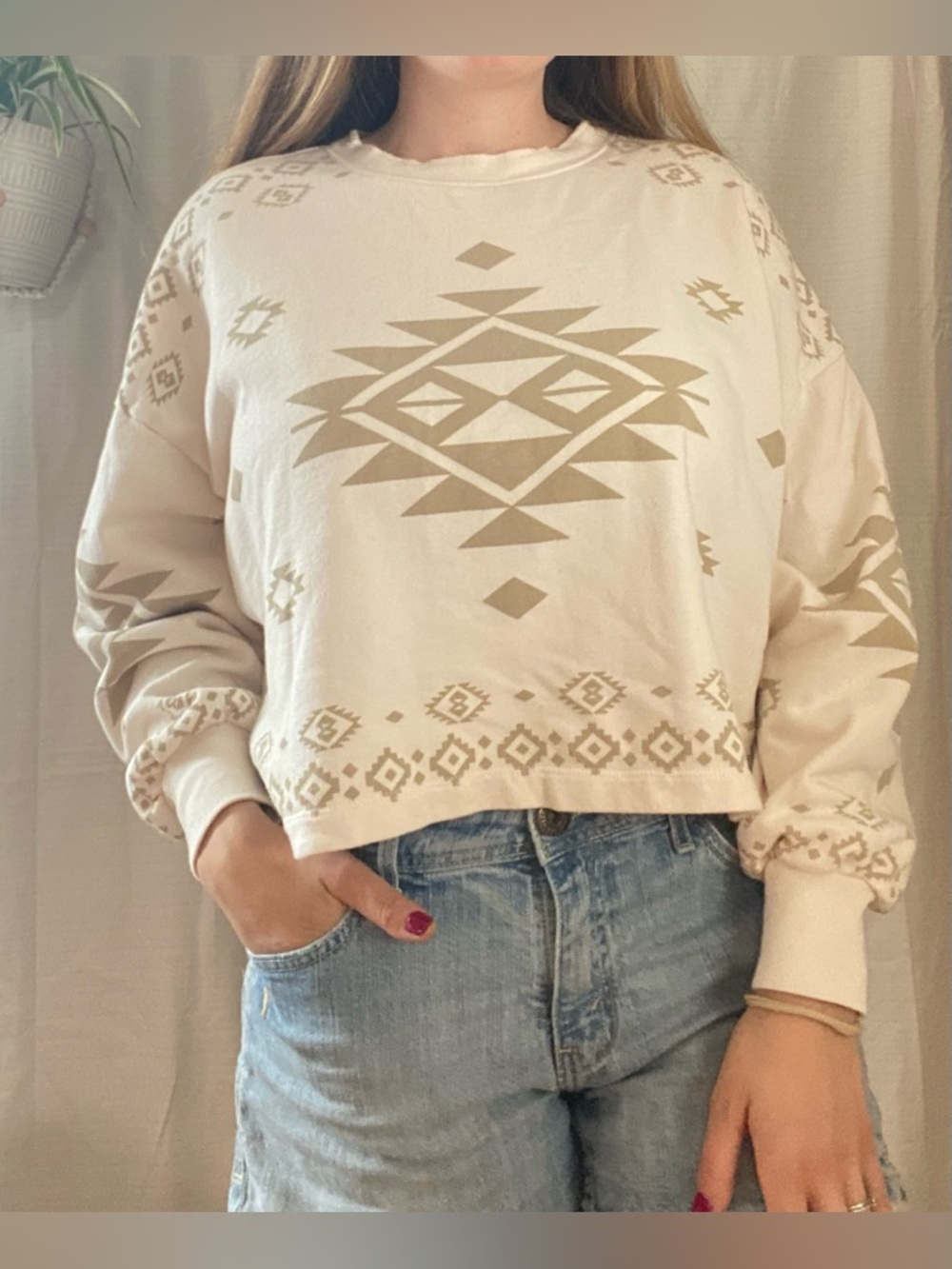 Cream and Beige Aztec Cropped Sweatshirt Z Supply